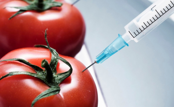 Alimenti contaminati: tipologie di contaminazione, le malattie che causano e gli obblighi di legge